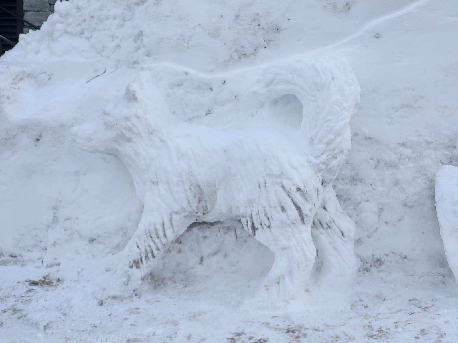 Sculpture de neige dans les Alpes françaises