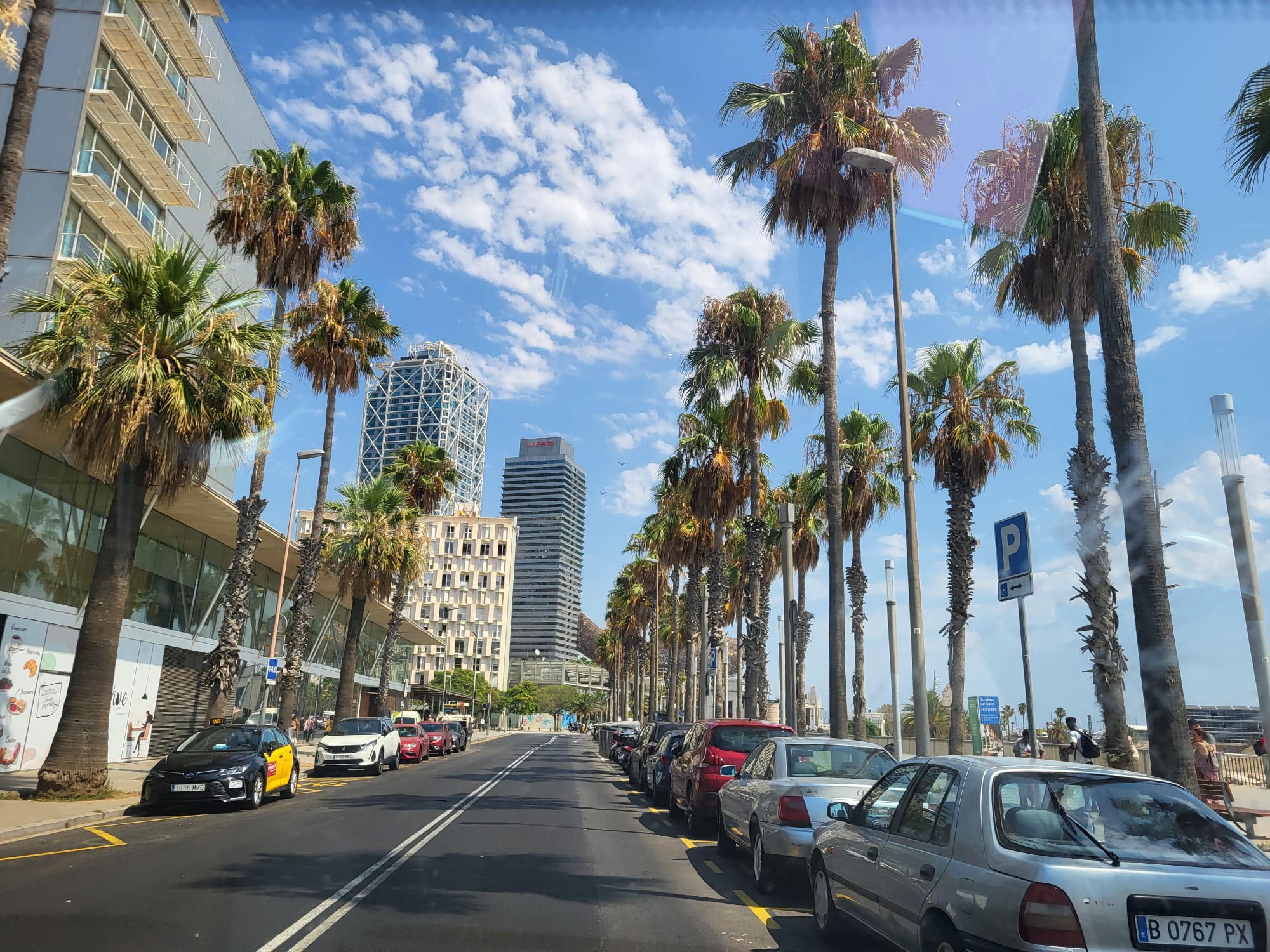 Front de mer Barcelone palmiers - séjour Barcelona