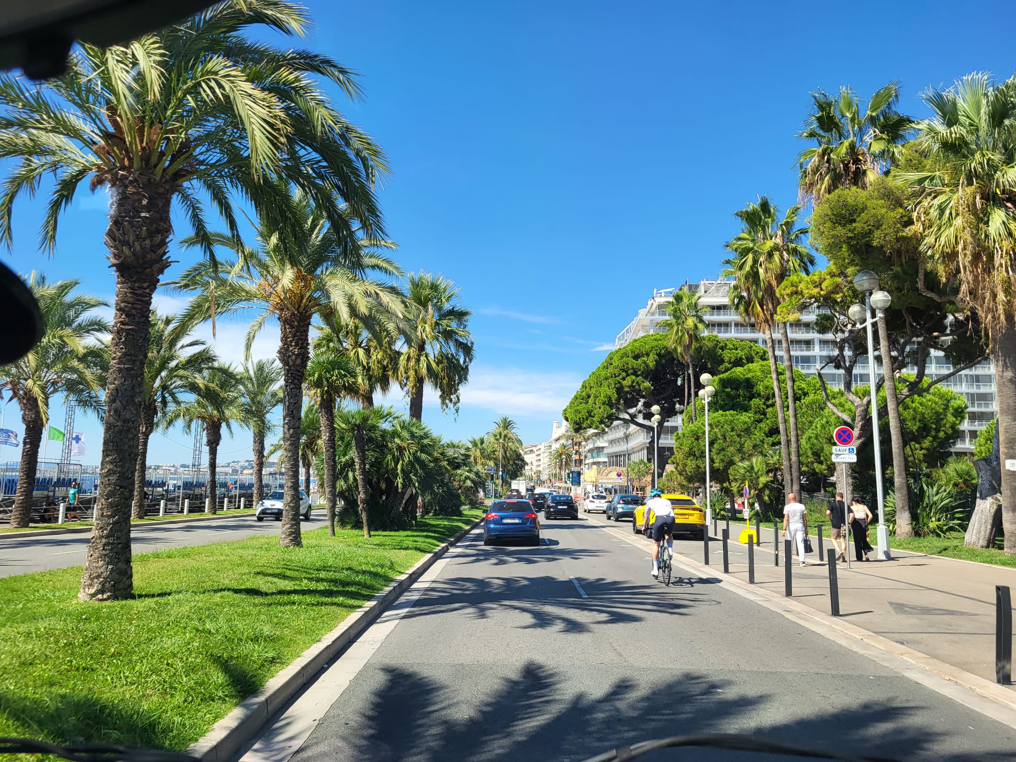 Promenade des Anglais palmiers - excursion autocar Nice